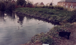 Mare face boulangerie